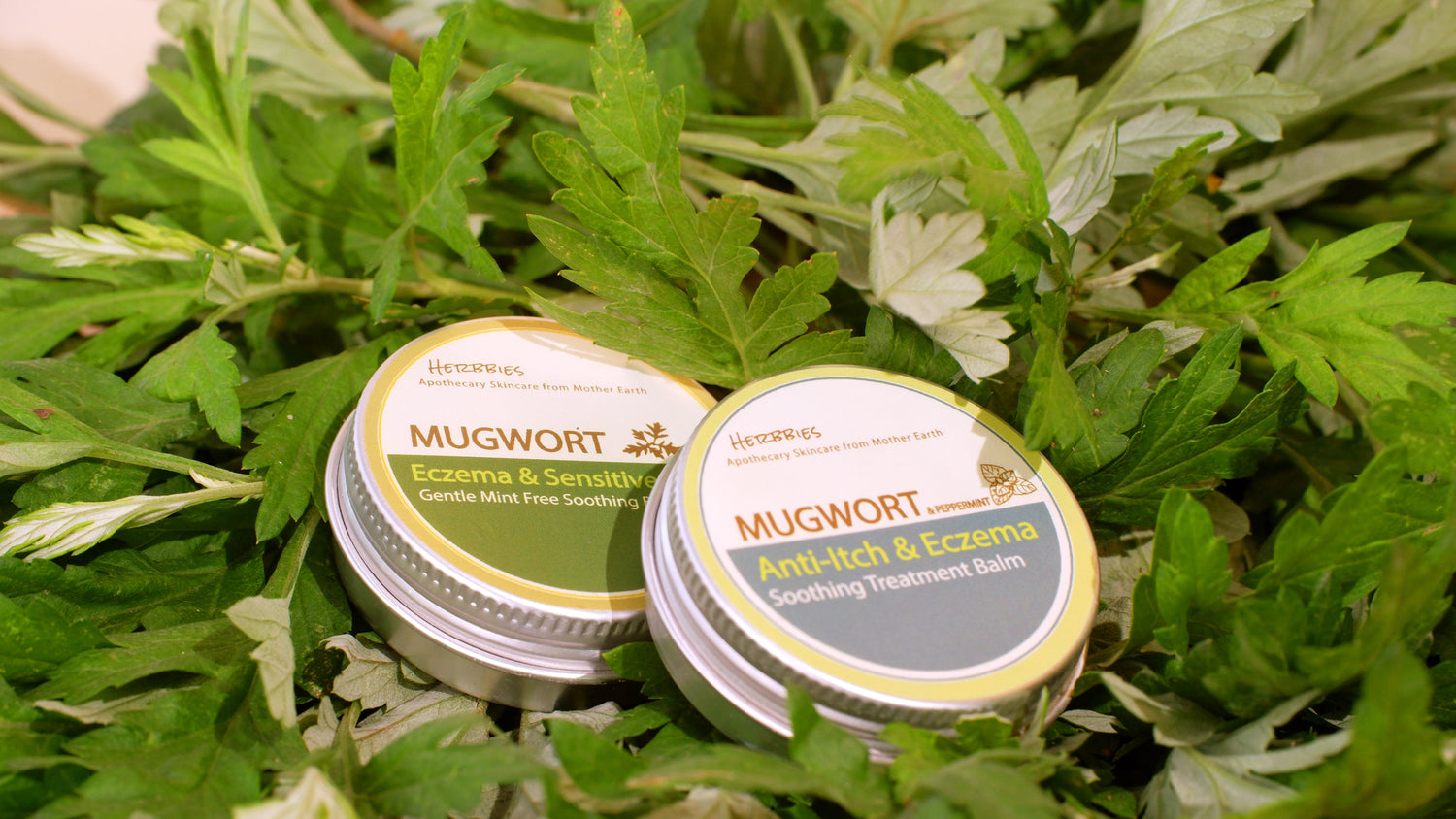 For Repair & Treatment