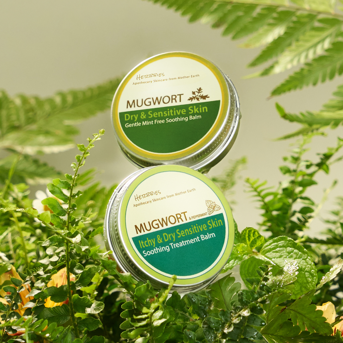 Herbbies Mugwort Balms
