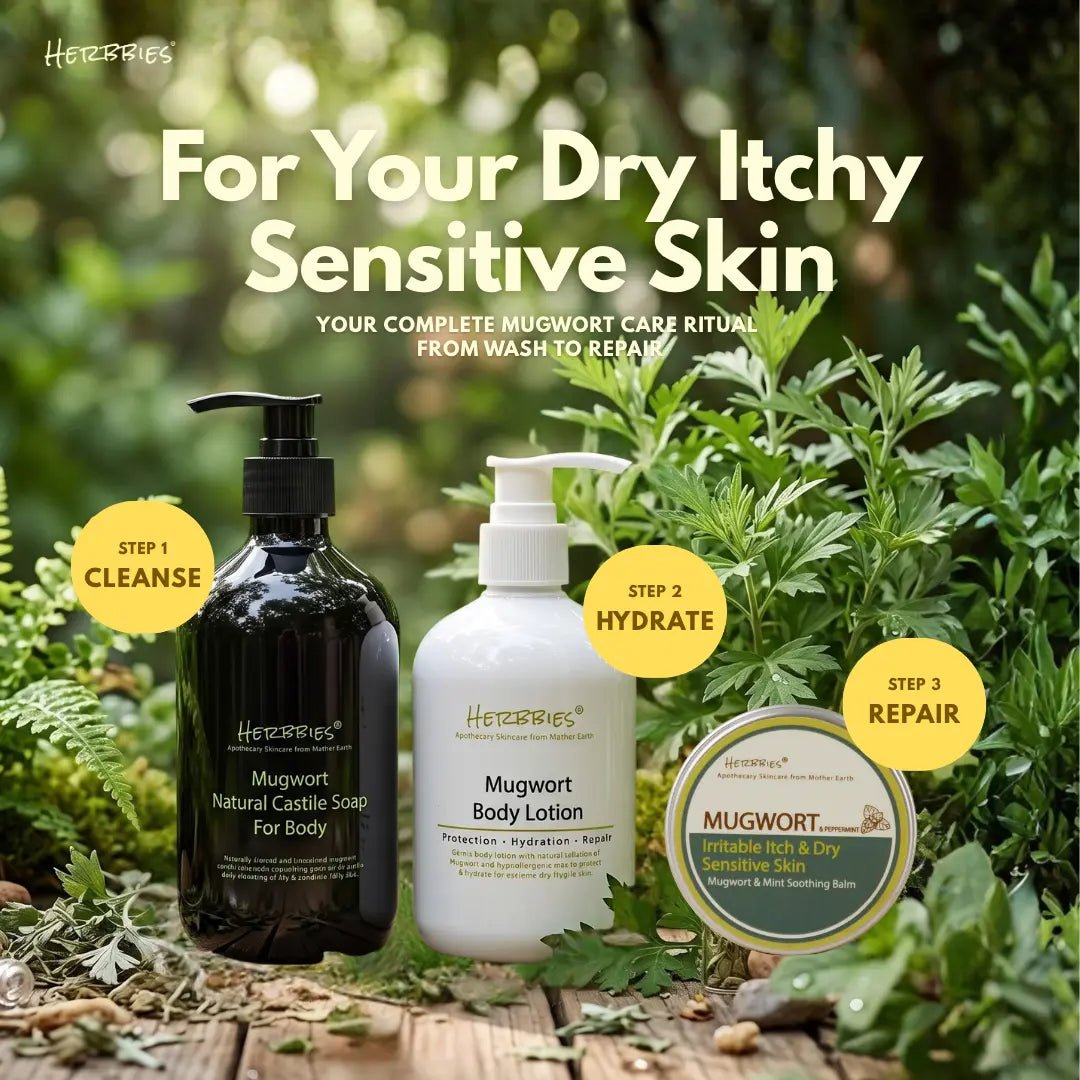 Mugwort Essential Trio Set (Wash, Hydrate, Repair)
